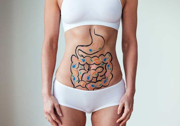 illustration-gut-bacteria-on-stomach-thumb